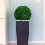 Victus Cozy With Parking By Renters * Sopot