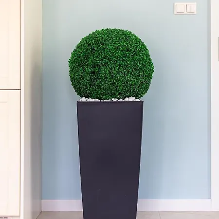 Victus Apartamenty, Skipper 12 * Сопот